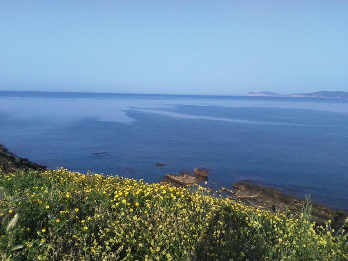 אלגהרו Giramondo Sardegna Affittacamere מראה חיצוני תמונה